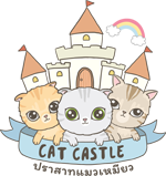 catcastle-โรงแรมแมวเชียงใหม่